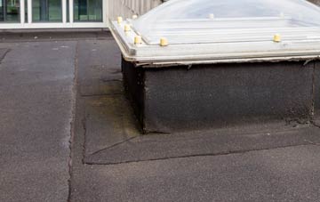 disadvantages of Blists Hill flat roofs